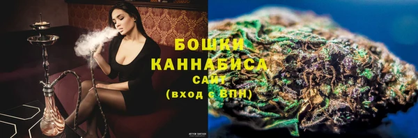spice Пестово