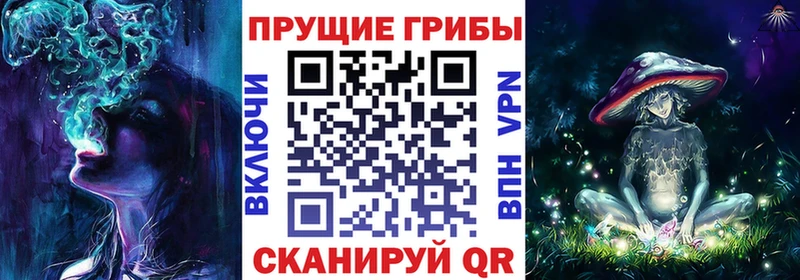 Псилоцибиновые грибы прущие грибы Городище