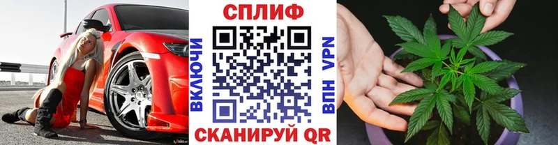 где продают   Городище  Марихуана гибрид 